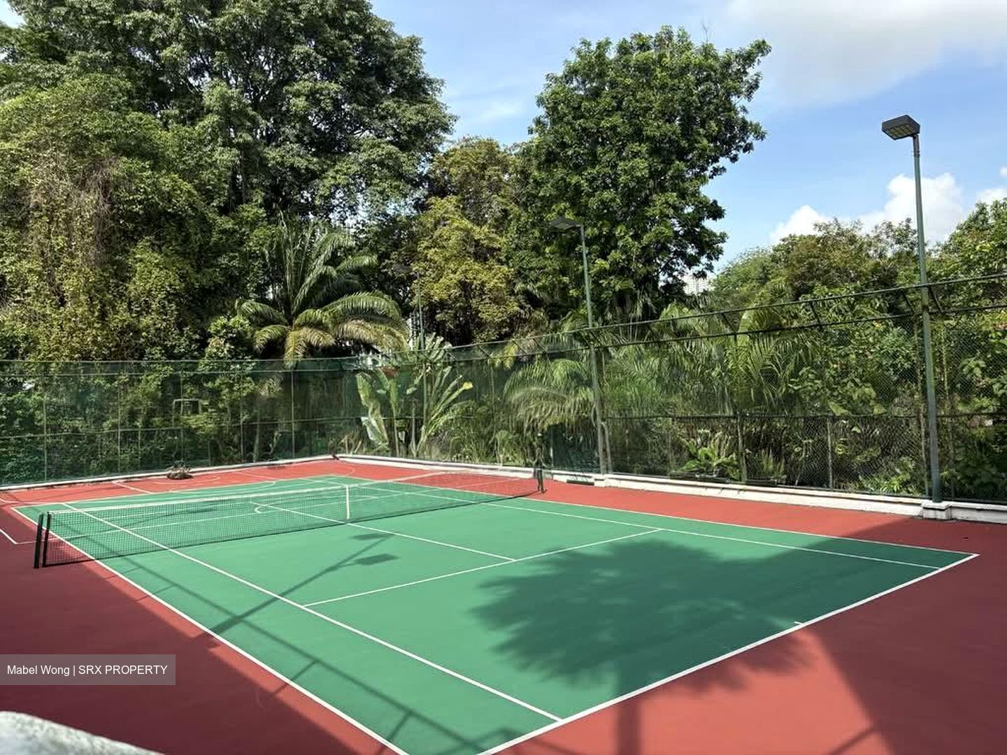 Tanglin Park (D10), Condominium #582983091